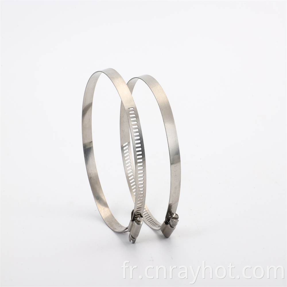 Stainless Steel Hose Clamp